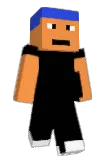 BRABoodo Minecraft avatar full body