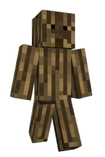 BRADES19 Minecraft avatar full body
