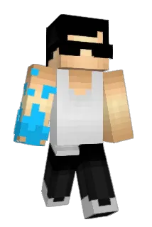 BRAIA_FPS Minecraft avatar full body