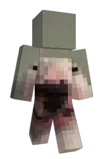 BRAIOK Minecraft avatar full body
