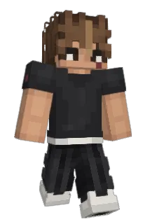 BRAJJN Minecraft avatar full body