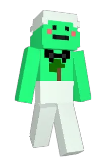 BRAMELZINGA69 Minecraft avatar full body
