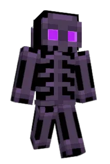 BRED122 Minecraft avatar full body