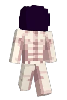 BRI00N Minecraft avatar full body
