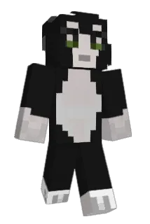 BRIGGANS Minecraft avatar full body