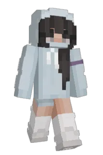 BRONZEAGLE Minecraft avatar full body