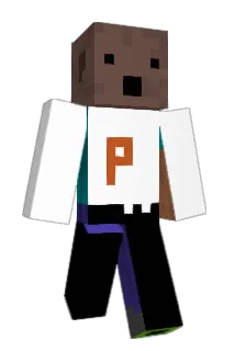 BROWNBAER Minecraft avatar full body