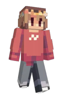 BRS_911 Minecraft avatar full body