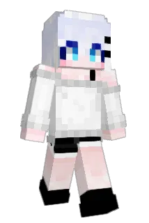 BS316 Minecraft avatar full body