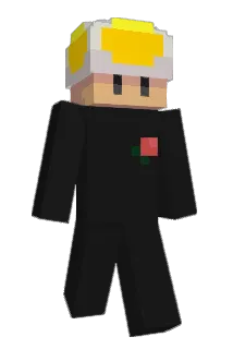 BTCETH Minecraft avatar full body
