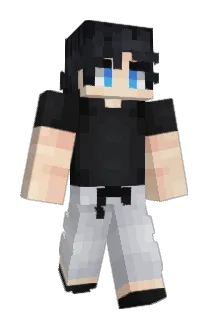 BTRFLI Minecraft avatar full body