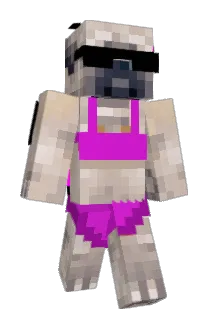 BUGGUMSSON Minecraft avatar full body