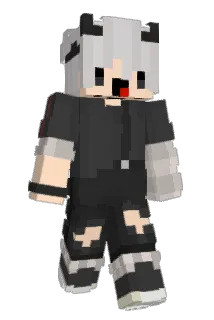 BWDV Minecraft avatar full body