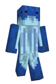 BWhale_ Minecraft avatar full body
