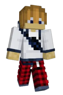 BX4R Minecraft avatar full body