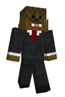 BX77Minecraft Minecraft avatar full body