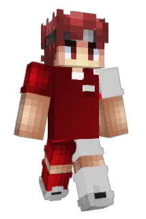BXLGE Minecraft avatar full body