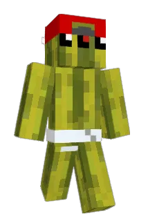B_Brothers Minecraft avatar full body
