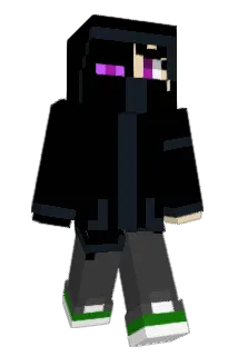 B_F_D Minecraft avatar full body