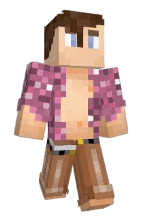 B_Raddles Minecraft avatar full body