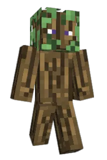 B_thomps10 Minecraft avatar full body