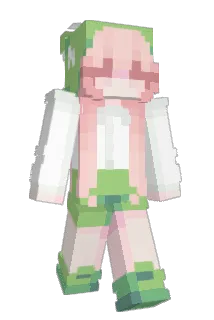Baahbs Minecraft avatar full body