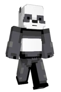 BaaoEight Minecraft avatar full body