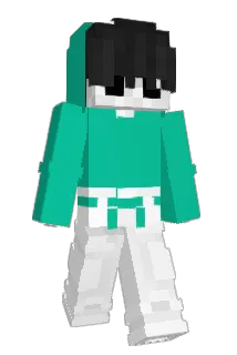 BaarLun2 Minecraft avatar full body