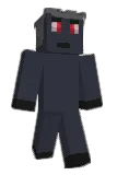 Baardje Minecraft avatar full body