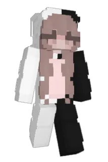 Babuba1 Minecraft avatar full body
