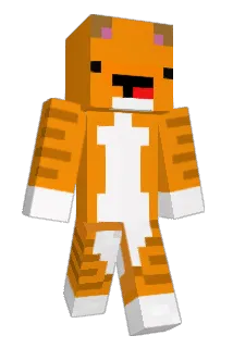 Babygade Minecraft avatar full body