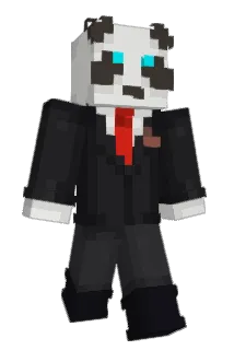 Babypanda8 Minecraft avatar full body