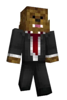 Baccabear2001 Minecraft avatar full body