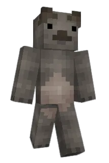 Baconlittle Minecraft avatar full body
