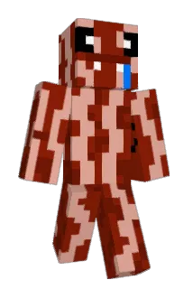 Baconslife Minecraft avatar full body