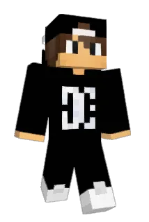 Badaapke Minecraft avatar full body