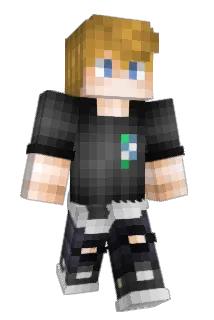 Baerschneider Minecraft avatar full body