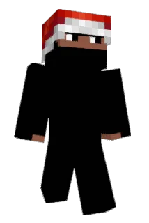 BagChasin Minecraft avatar full body