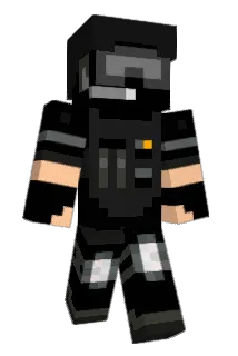 Bag_n_Tag Minecraft avatar full body