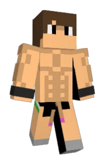 Bagheera2001 Minecraft avatar full body