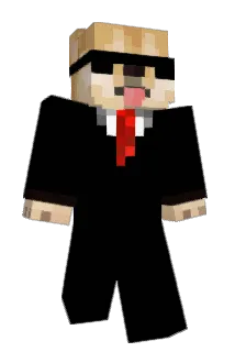 BaghiraWag Minecraft avatar full body