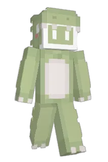 Baida868 Minecraft avatar full body