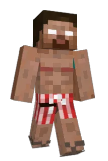 BaileysNut Minecraft avatar full body
