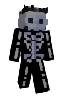 Baindr Minecraft avatar full body