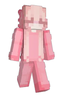 Bajonnette Minecraft avatar full body
