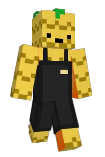 BaldAnanas Minecraft avatar full body