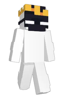 BallConnoisseur Minecraft avatar full body