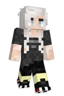 Balpennetje Minecraft avatar full body