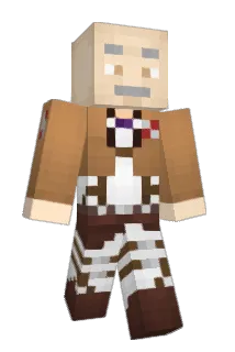 Bama341 Minecraft avatar full body