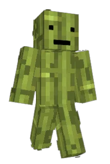 Bambvs67 Minecraft avatar full body